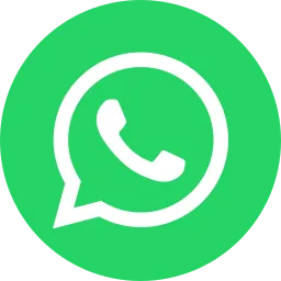 Chat with VIP Swiss Ride on WhatsApp