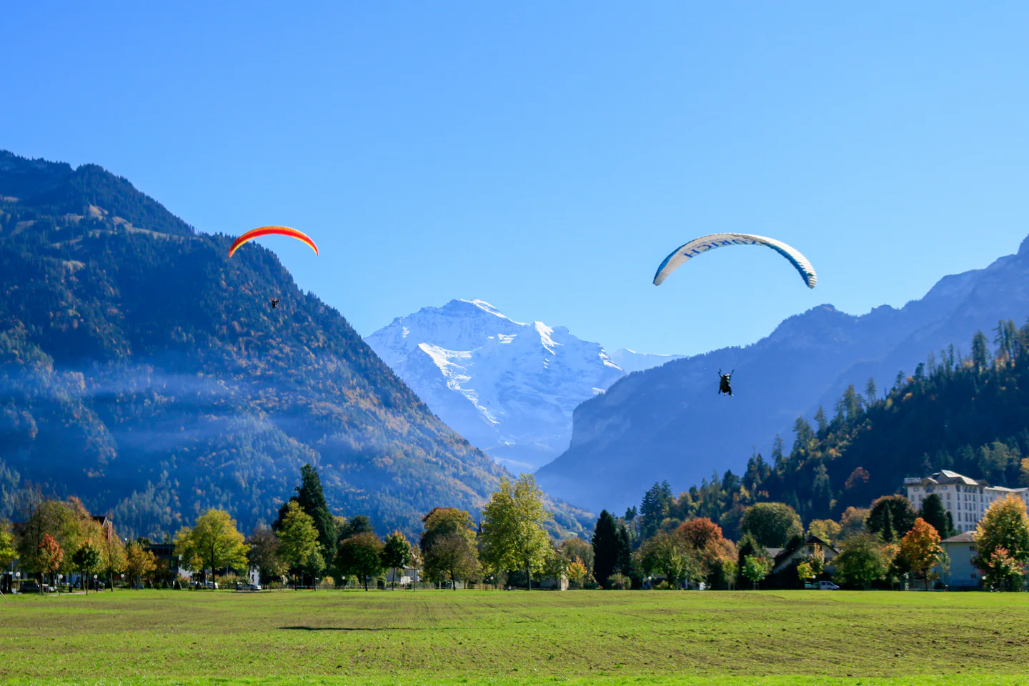 Paragliders above Interlaken with the Bernese Alps