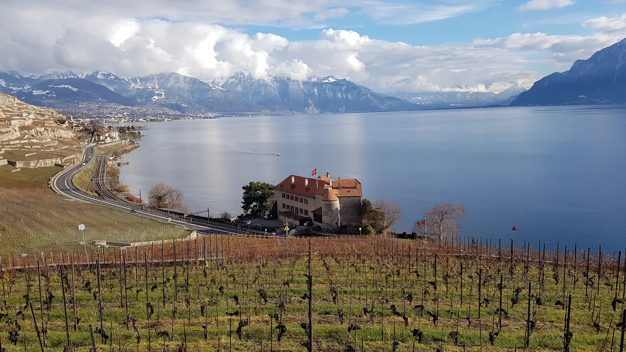 Lavaux vineyard terraces above Lake Geneva near Lutry